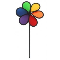 Wiatraczek tęczowy kwaitek