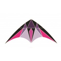 Latawiec sportowy King...